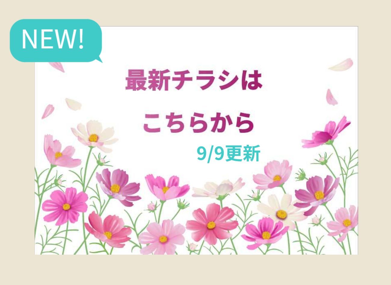 最新チラシはこちらをタッチ